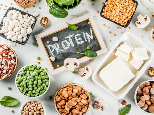 protein untuk menurunkan berat badan